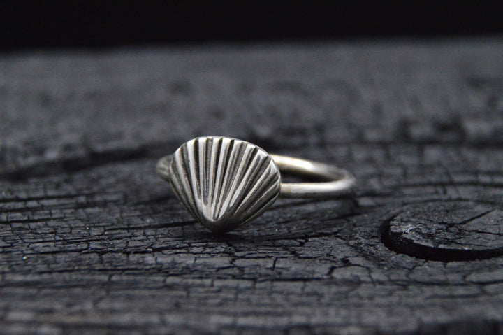 925er Silber Ring LITTLE SHELL
