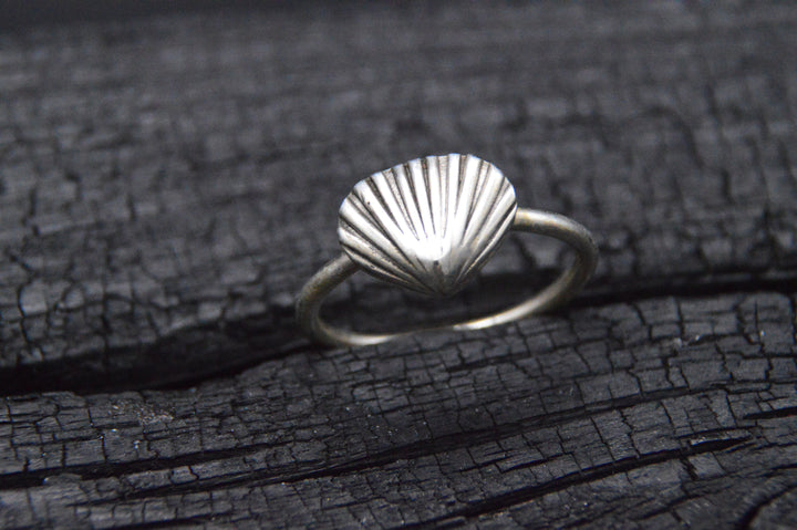 925er Silber Ring LITTLE SHELL