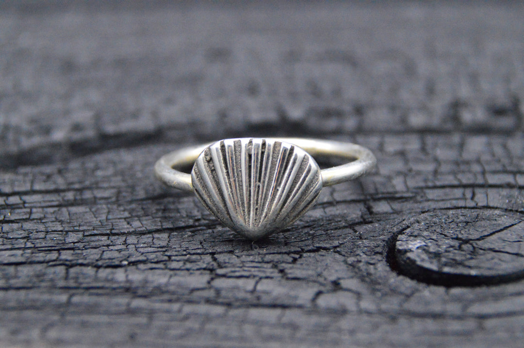 925er Silber Ring LITTLE SHELL