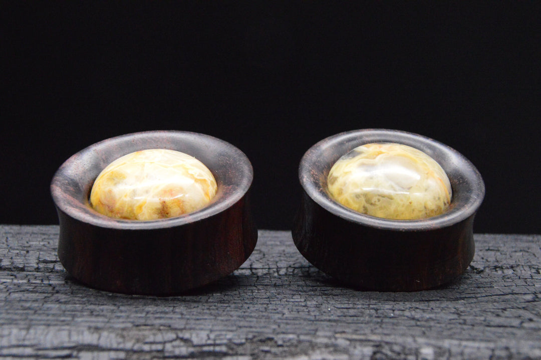 1x Plug Narra Wood  Agate 28-42mm - F1