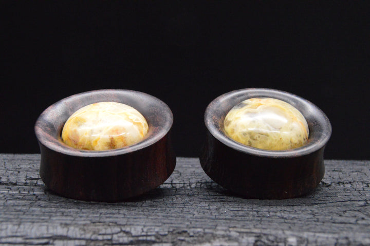 1x Plug Narra Wood  Agate 28-42mm - F1