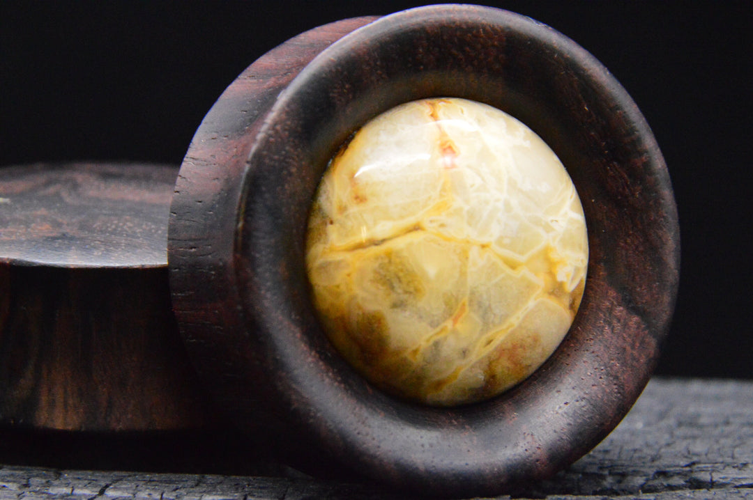 1x Plug Narra Wood  Agate 28-42mm - F1