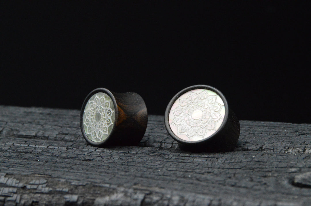 1x Plug Iron Wood & Muschel 10-25mm - F1