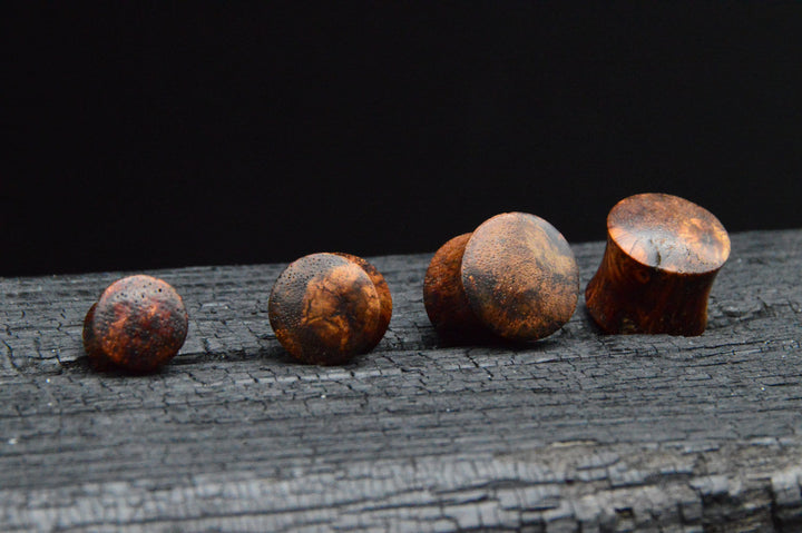 1x Plug Honey Wood 3-12mm - C1