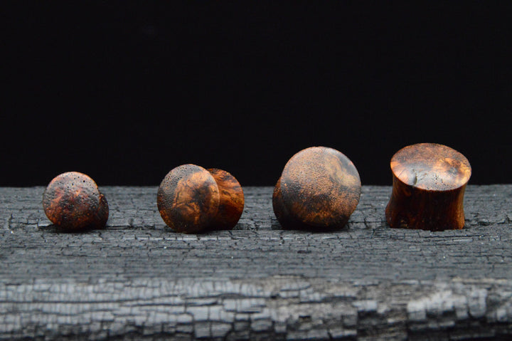 1x Plug Honey Wood 3-12mm - C1