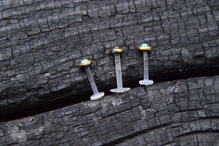 Piercing/Labret/Medusa 1,2mm - 1J/19