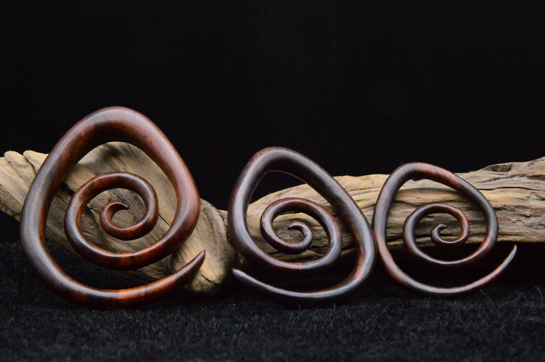 Schnecke aus Narra Wood - GG-5