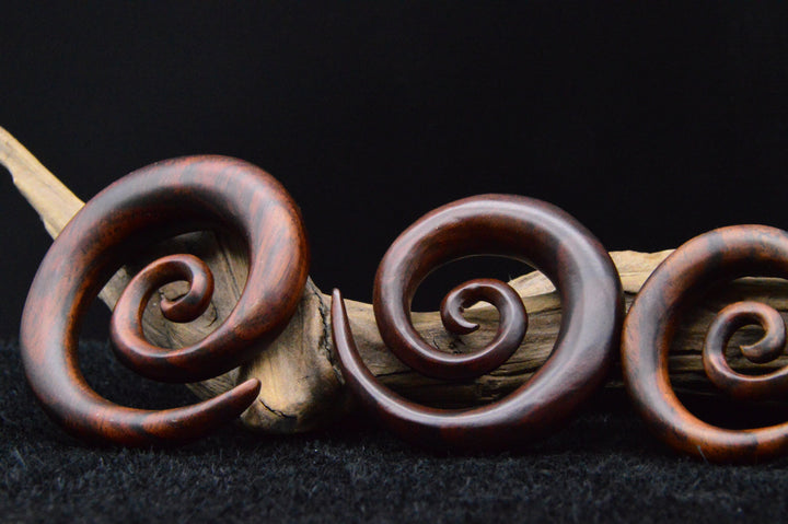 Schnecke aus Narra Wood - GG-5