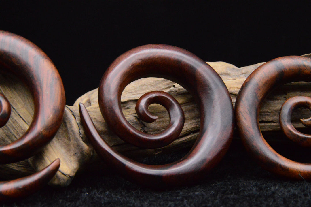 Schnecke aus Narra Wood - GG-5