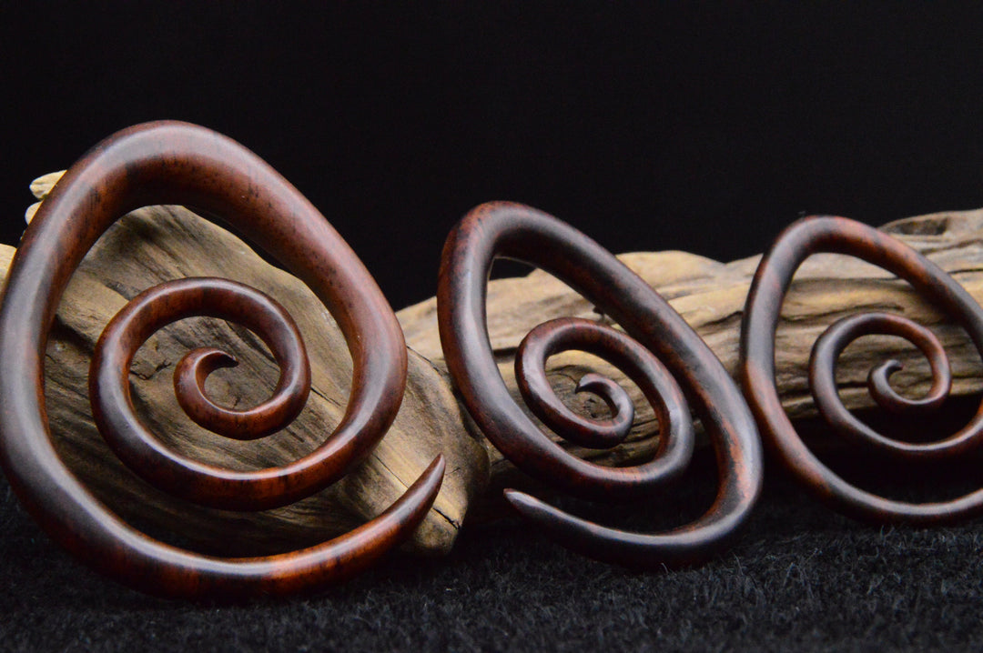 Schnecke aus Narra Wood - GG-5