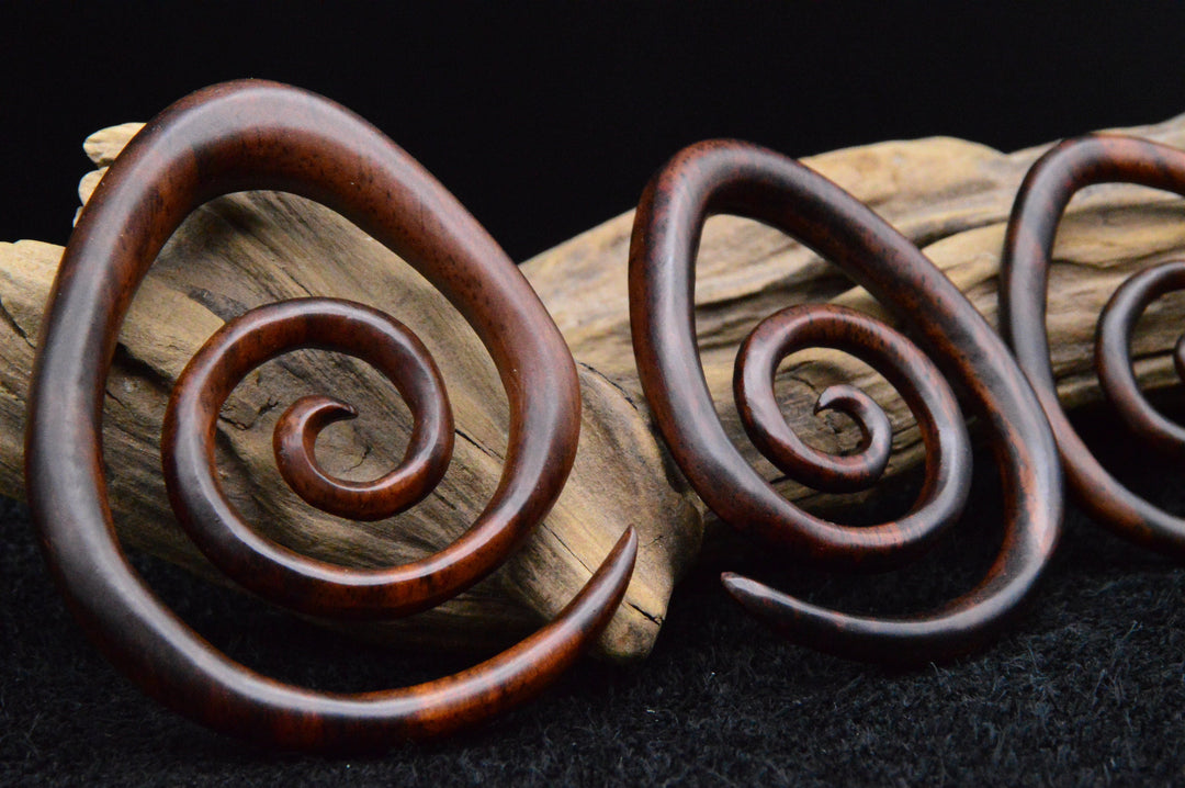 Schnecke aus Narra Wood - GG-5