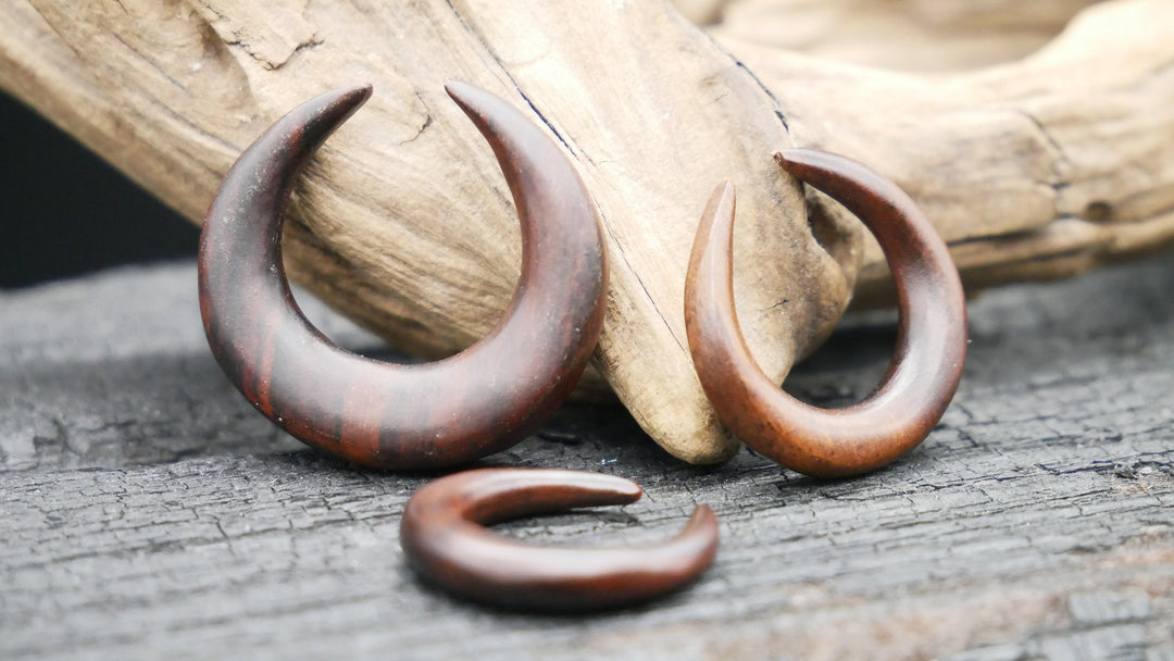 Schnecke aus Holz - GG-5