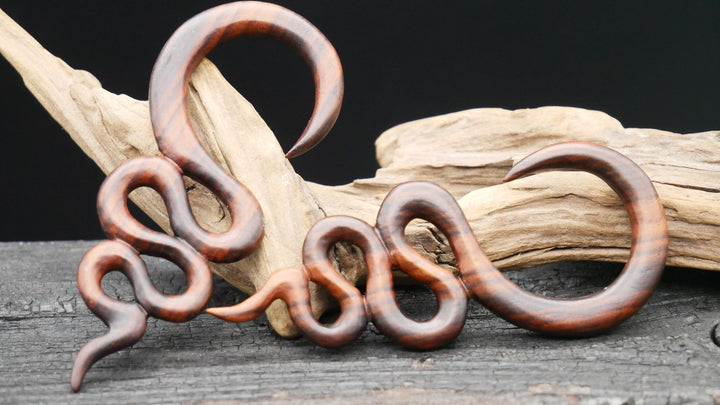 Ohrgewicht aus Narra Wood - GG-6