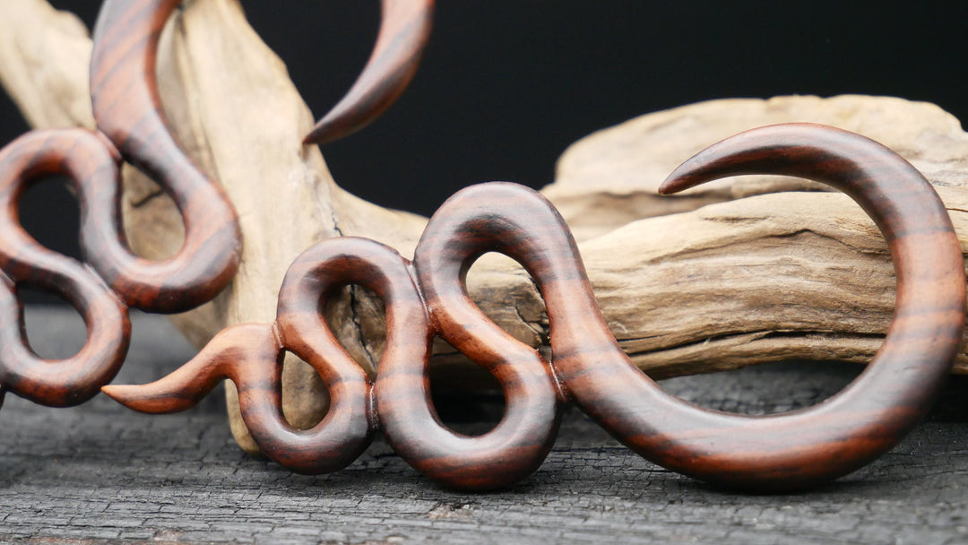 Ohrgewicht aus Narra Wood - GG-6