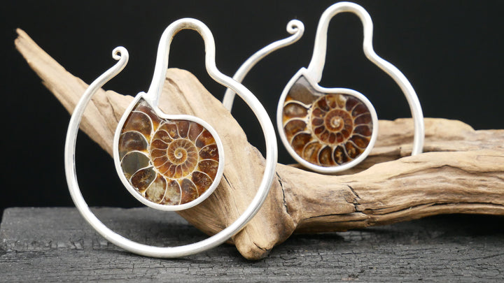 925er Ohrringe mit Ammonite - DD-3
