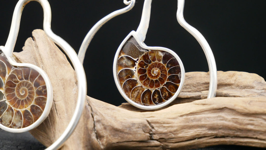 925er Ohrringe mit Ammonite - DD-3