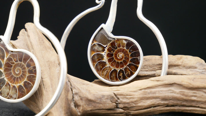 925er Ohrringe mit Ammonite - DD-3