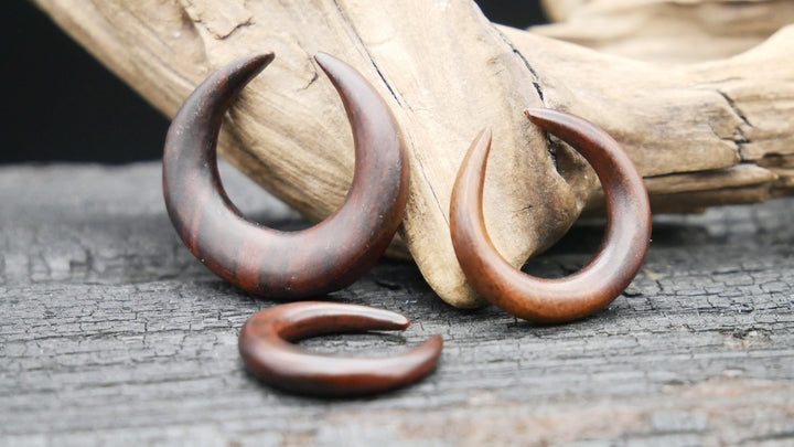 Schnecke aus Holz - GG-5