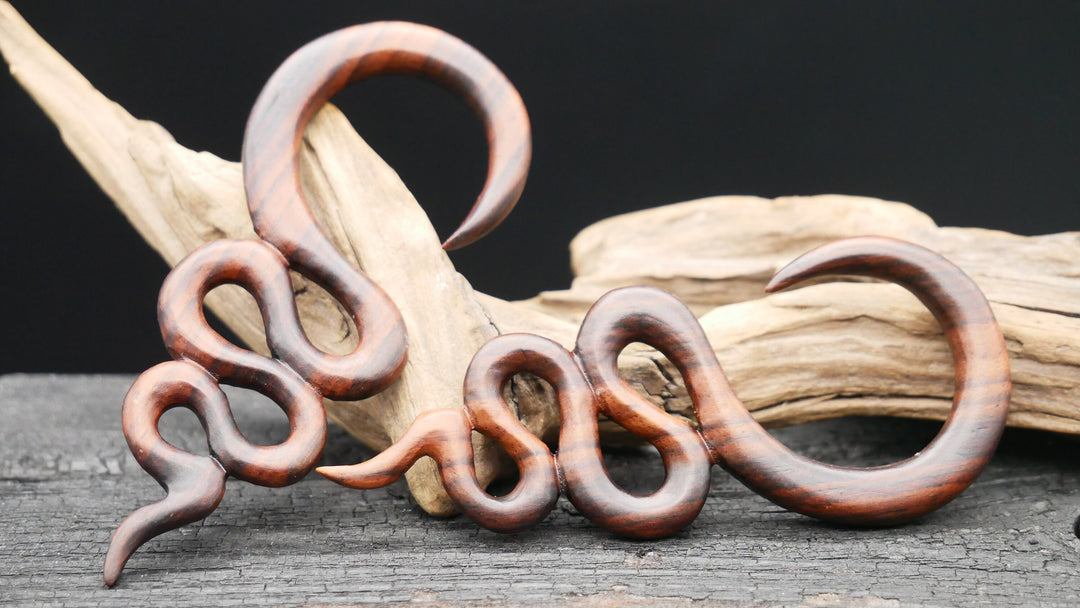 Ohrgewicht aus Narra Wood - GG-6