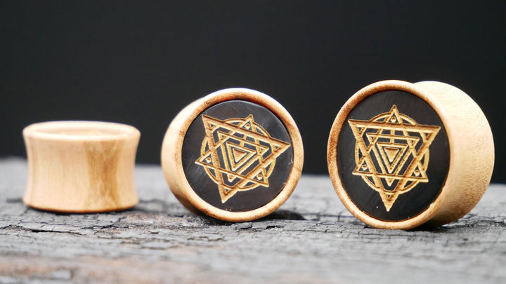 1x Plug Olive Wood 8-22mm - F1