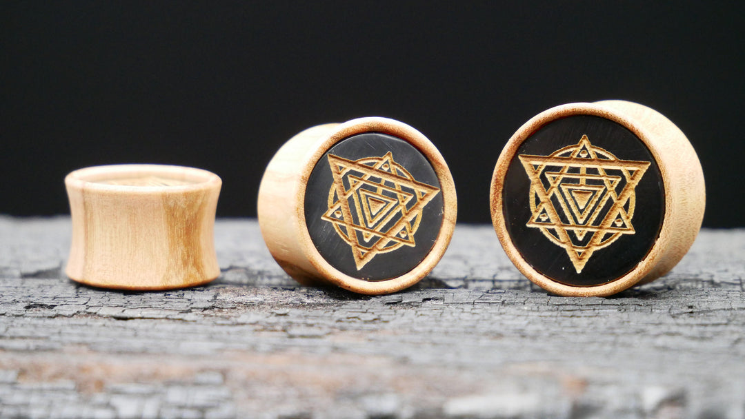 1x Plug Olive Wood 8-22mm - F1