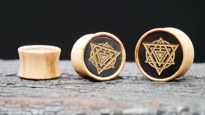 1x Plug Olive Wood 8-22mm - F1