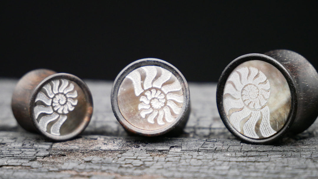 1x Plug Iron Wood Shell inlay 8-16mm - F1