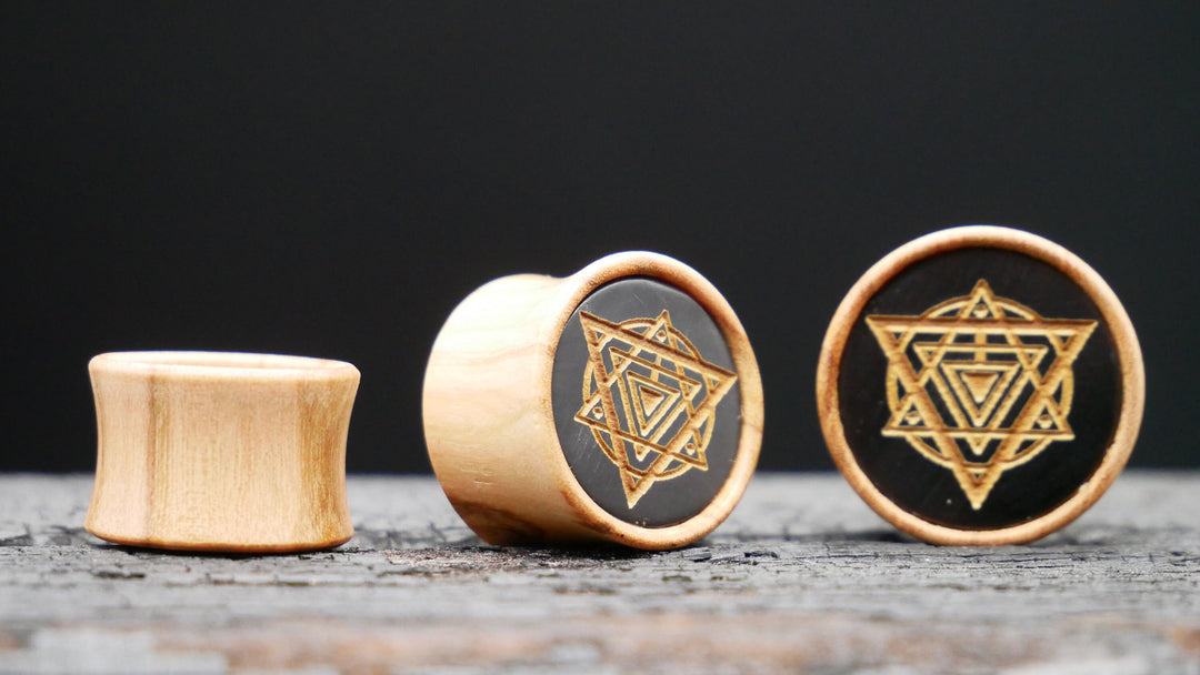 1x Plug Olive Wood 8-22mm - F1