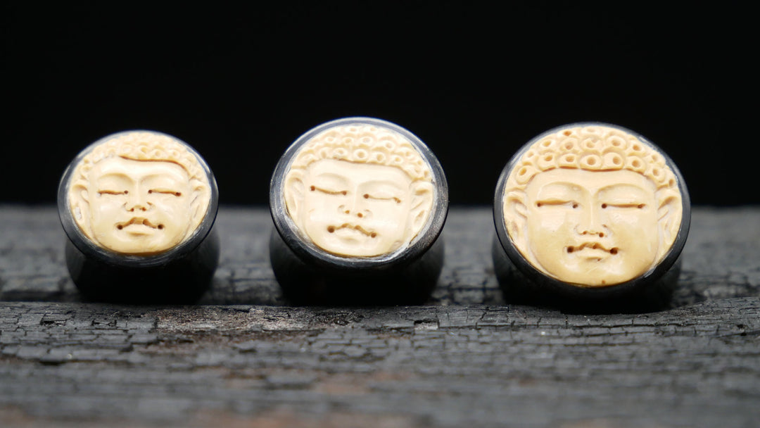 1x Plug Buddha Horn 12-18mm - F1