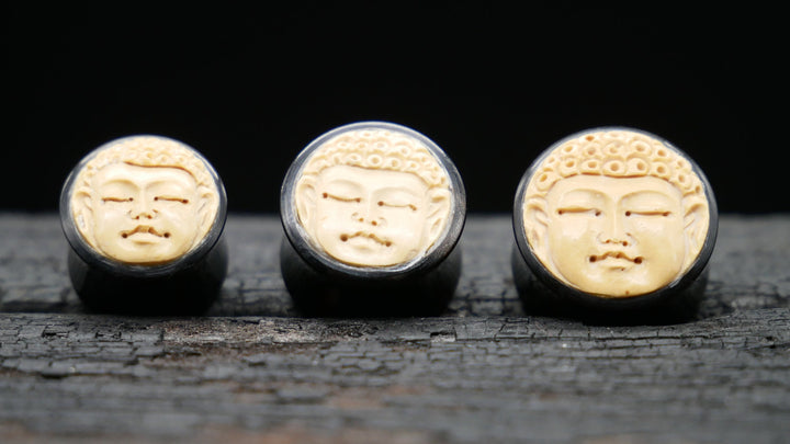 1x Plug Buddha Horn 12-18mm - F1