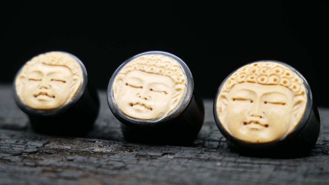 1x Plug Buddha Horn 12-18mm - F1