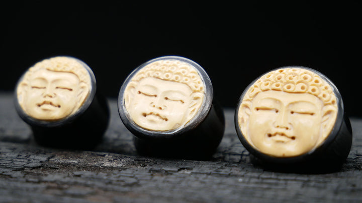 1x Plug Buddha Horn 12-18mm - F1