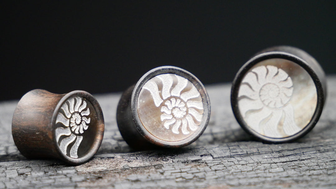 1x Plug Iron Wood Shell inlay 8-16mm - F1