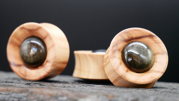 1x Plug Olivenbaumholz & Golden Obsidian 22-42mm - F1