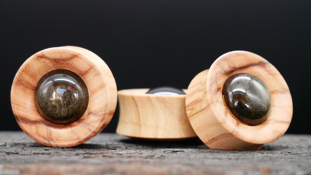 1x Plug Olivenbaumholz & Golden Obsidian 22-42mm - F1