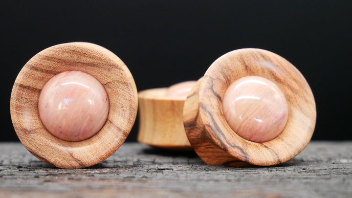 1x Plug Olivenbaumholz & Fossilied Stone 20-42mm - F1