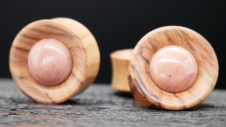 1x Plug Olivenbaumholz & Fossilied Stone 20-42mm - F1