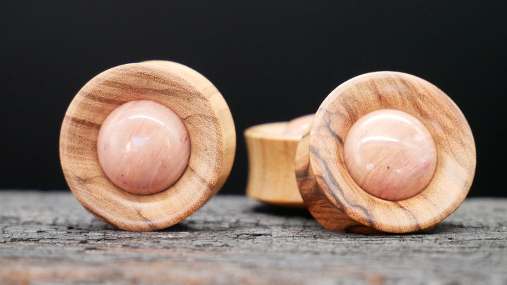 1x Plug Olivenbaumholz & Fossilied Stone 20-42mm - F1