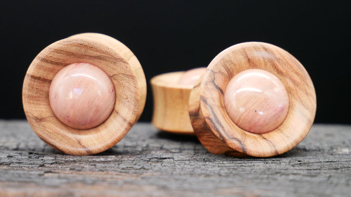 1x Plug Olivenbaumholz & Fossilied Stone 20-42mm - F1