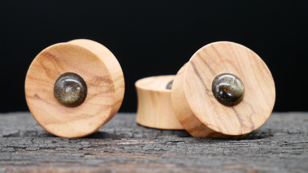 1x Plug Olivenbaumholz & Golden Obsidian 25-40mm - F1
