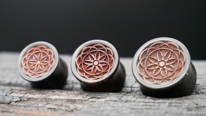 1x Plug Black Arang Wood 8-16mm - F1