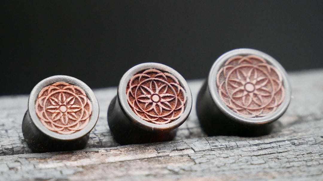 1x Plug Black Arang Wood 8-16mm - F1
