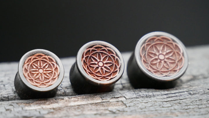 1x Plug Black Arang Wood 8-16mm - F1