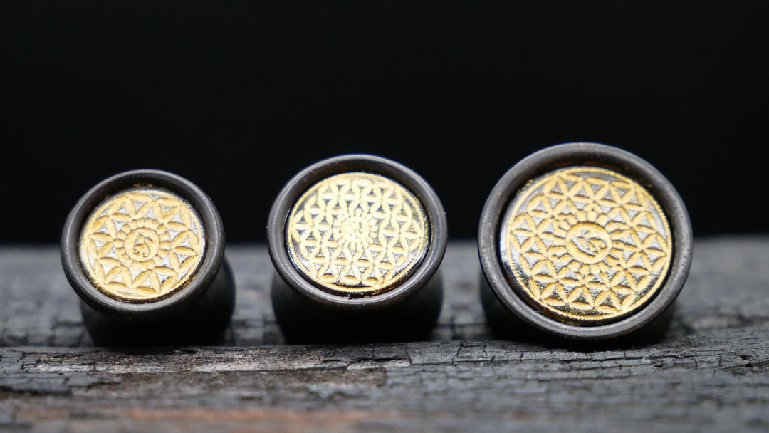 1x Plug Black Arang Wood 8-16mm - F1