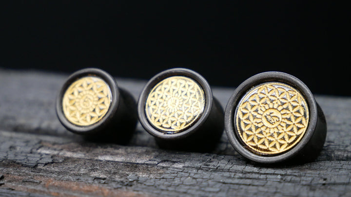 1x Plug Black Arang Wood 8-16mm - F1