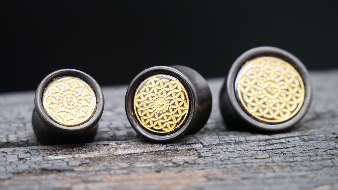 1x Plug Black Arang Wood 8-16mm - F1