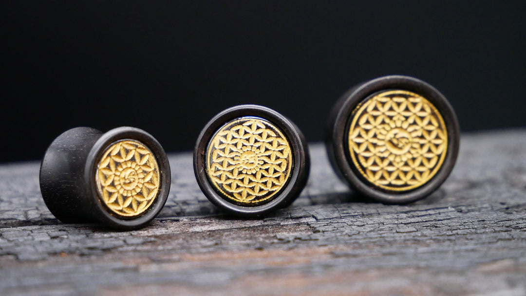 1x Plug Black Arang Wood 8-16mm - F1