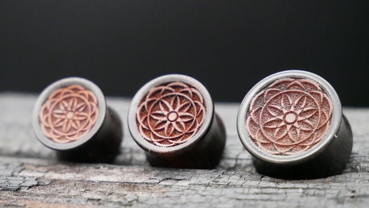 1x Plug Black Arang Wood 8-16mm - F1