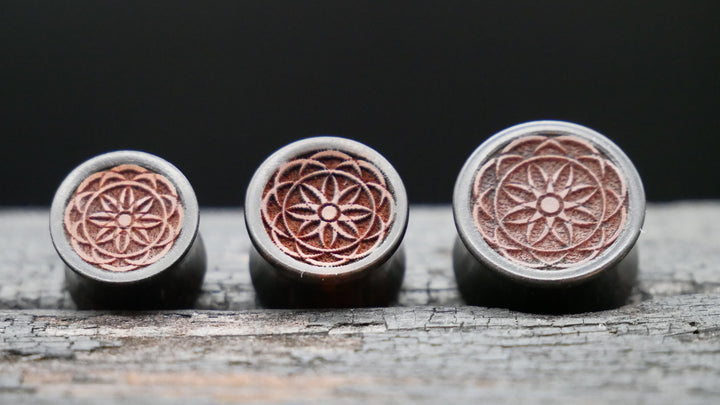 1x Plug Black Arang Wood 8-16mm - F1