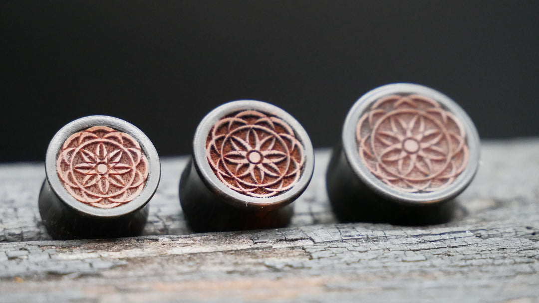1x Plug Black Arang Wood 8-16mm - F1